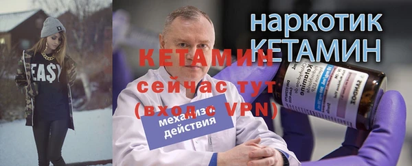 шишки Аркадак