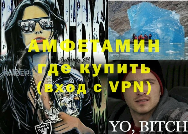 шишки Аркадак