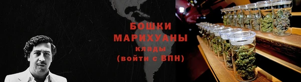 шишки Аркадак