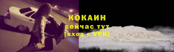 СК Арсеньев