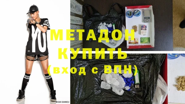 шишки Аркадак