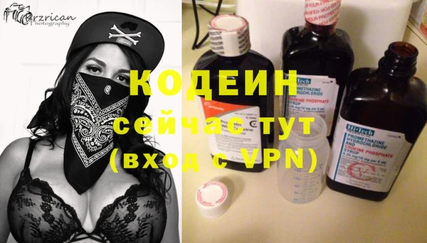 шишки Аркадак